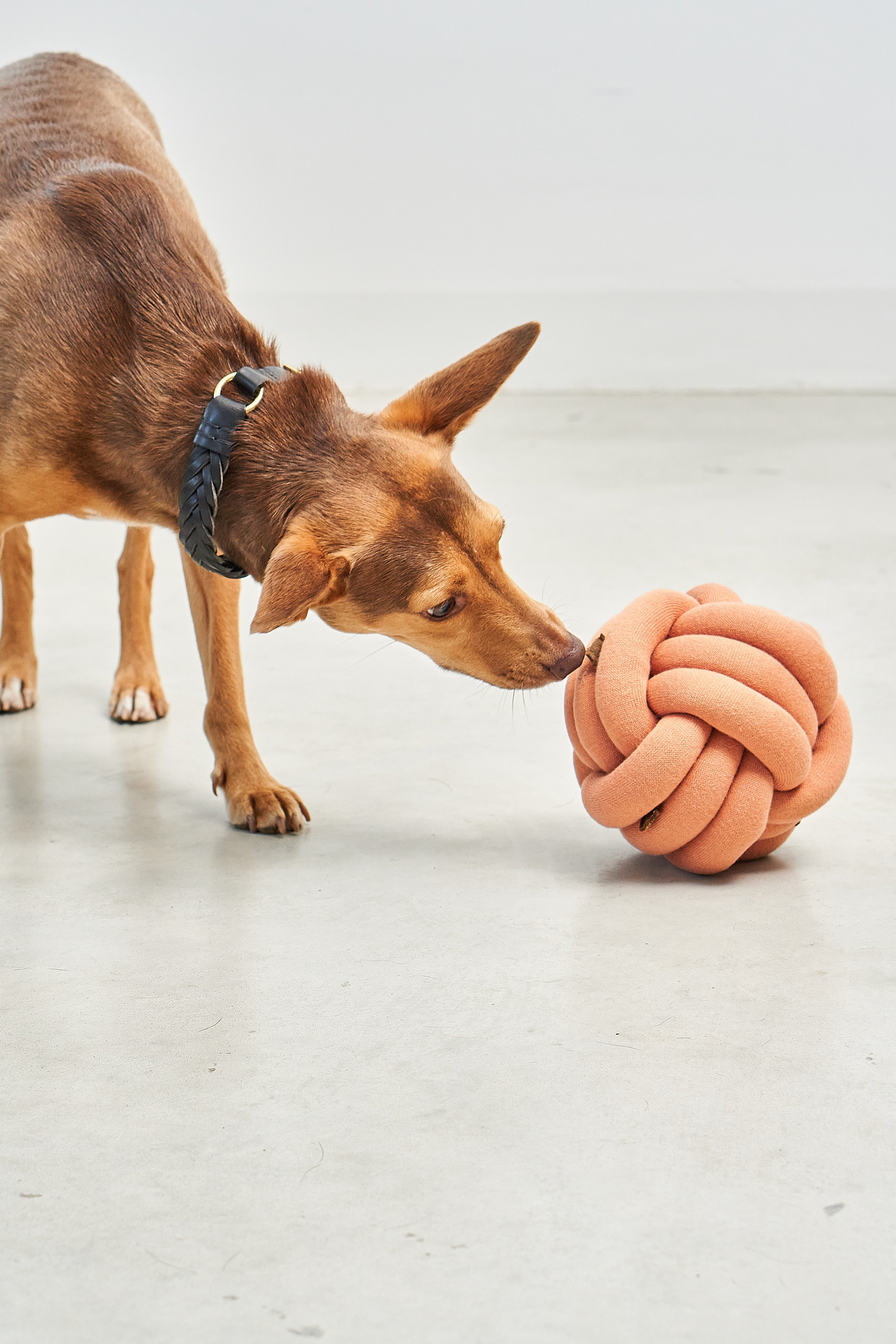 MiaCara Tubo Spielzeug