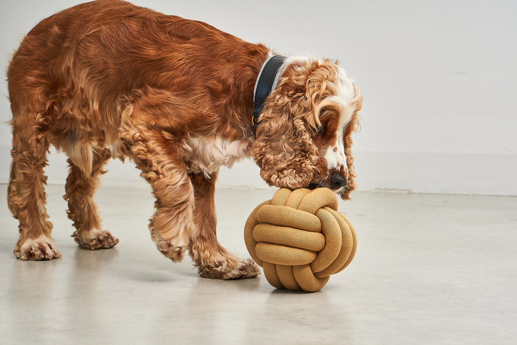 MiaCara Tubo Spielzeug