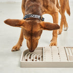 Aperitivo Schleckmatte Hund