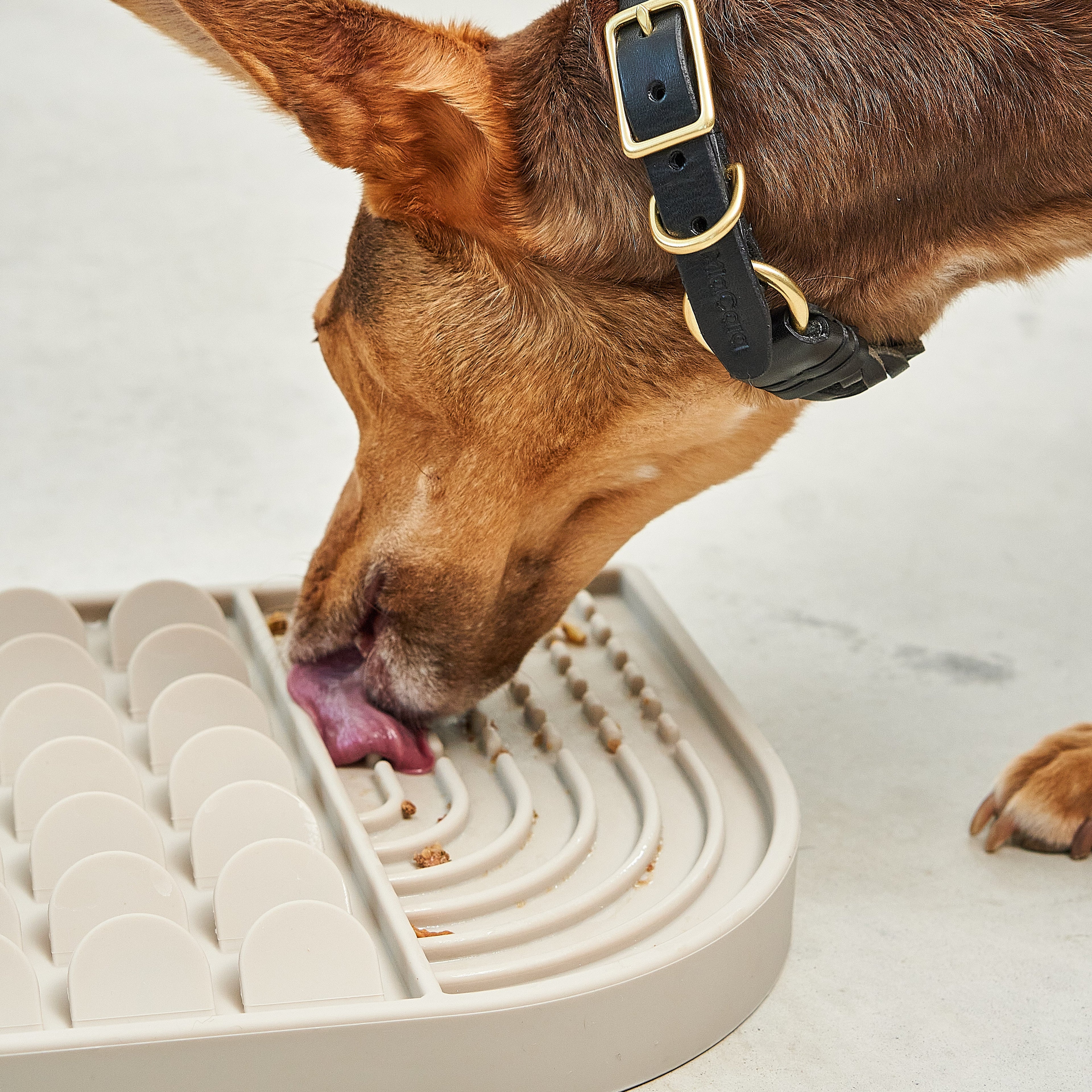 MiaCara Aperitivo Dog Treat Mat