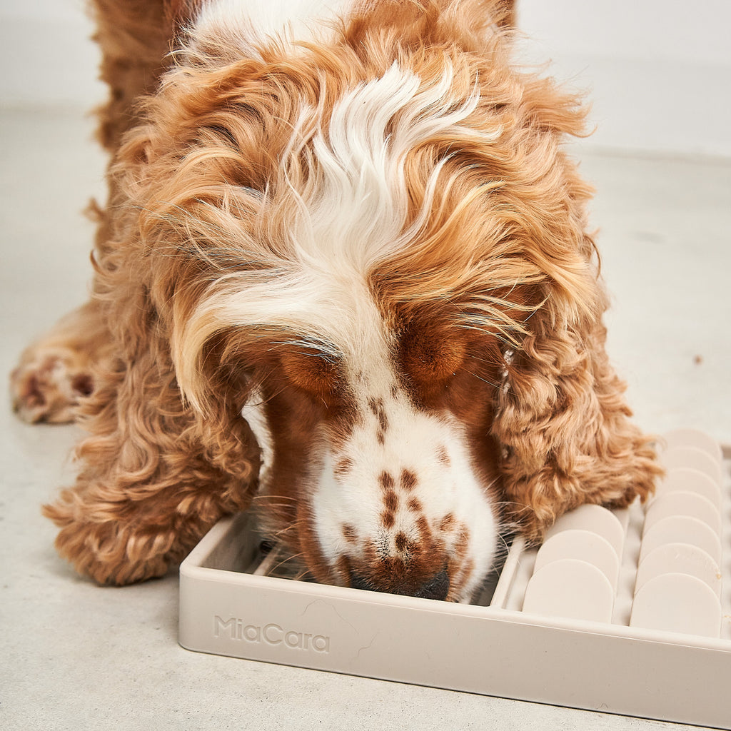 MiaCara Aperitivo Dog Treat Mat