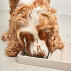 Aperitivo Schleckmatte Hund