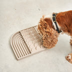 Aperitivo Schleckmatte Hund