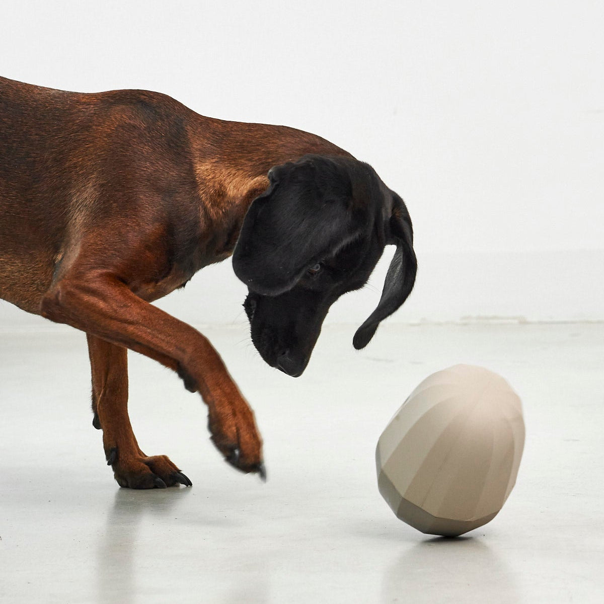 MiaCara Uovo Spielzeug