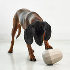 Uovo Toy