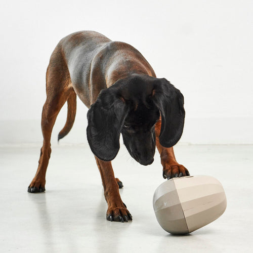 Uovo Toy