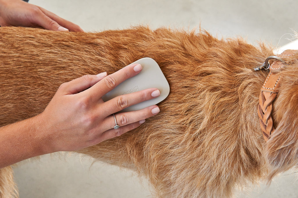 MiaCara Pelo Hundebürste