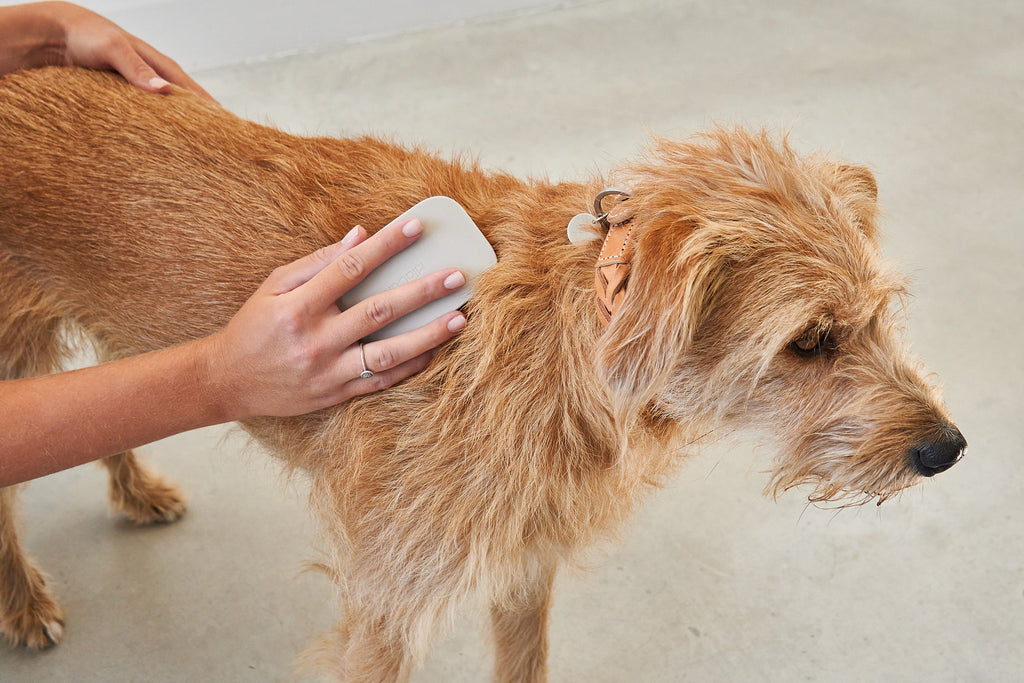 MiaCara Pelo Hundebürste