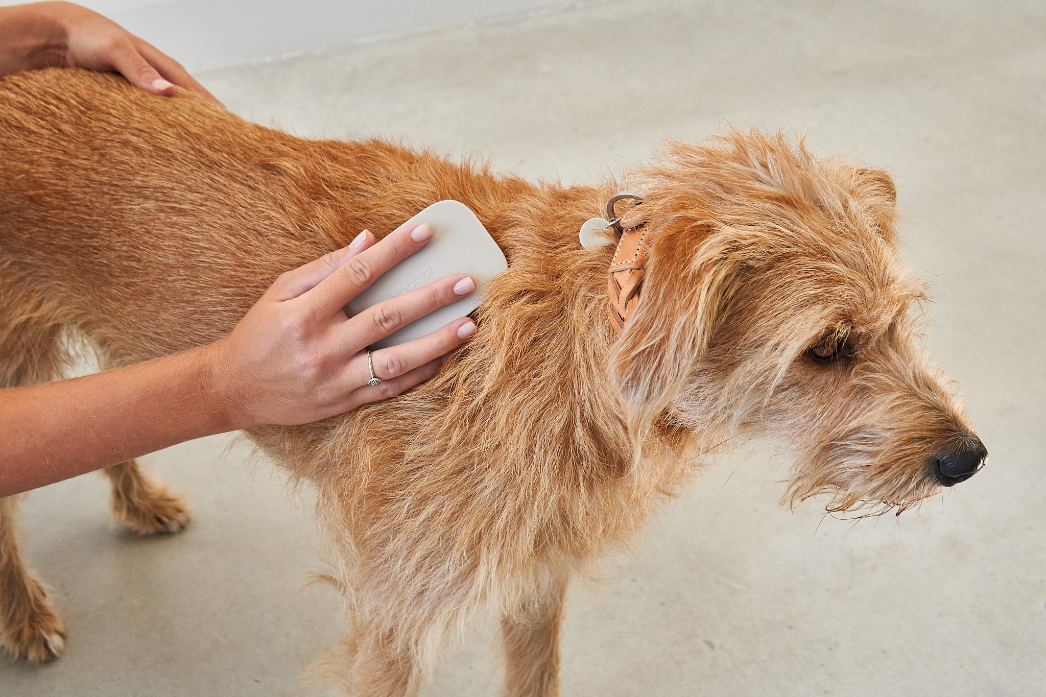 MiaCara Pelo Hundebürste