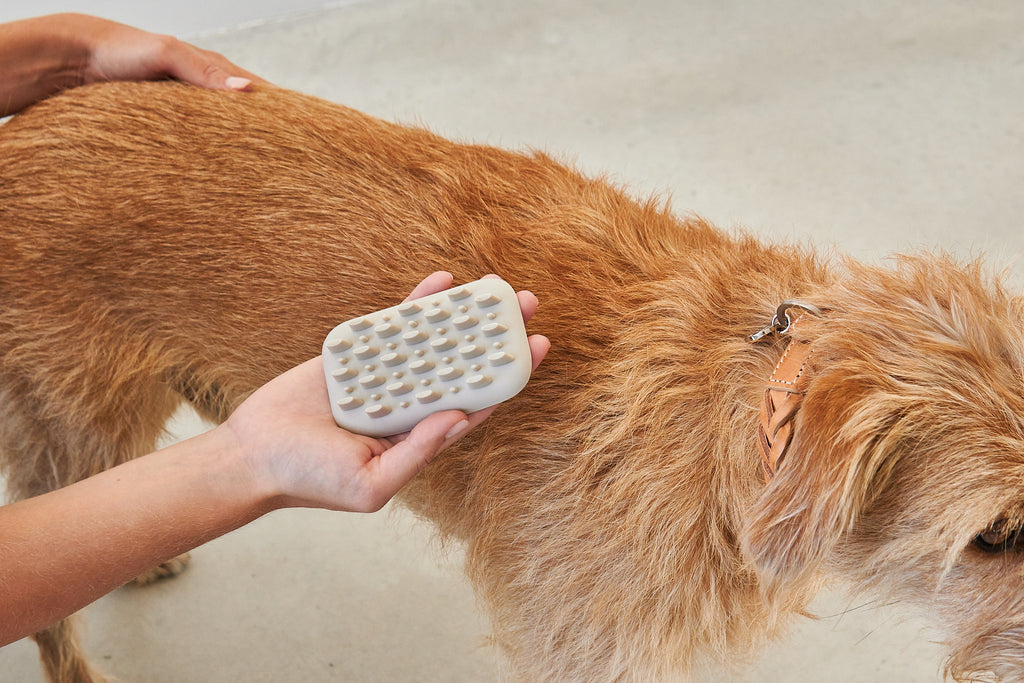 MiaCara Pelo Hundebürste