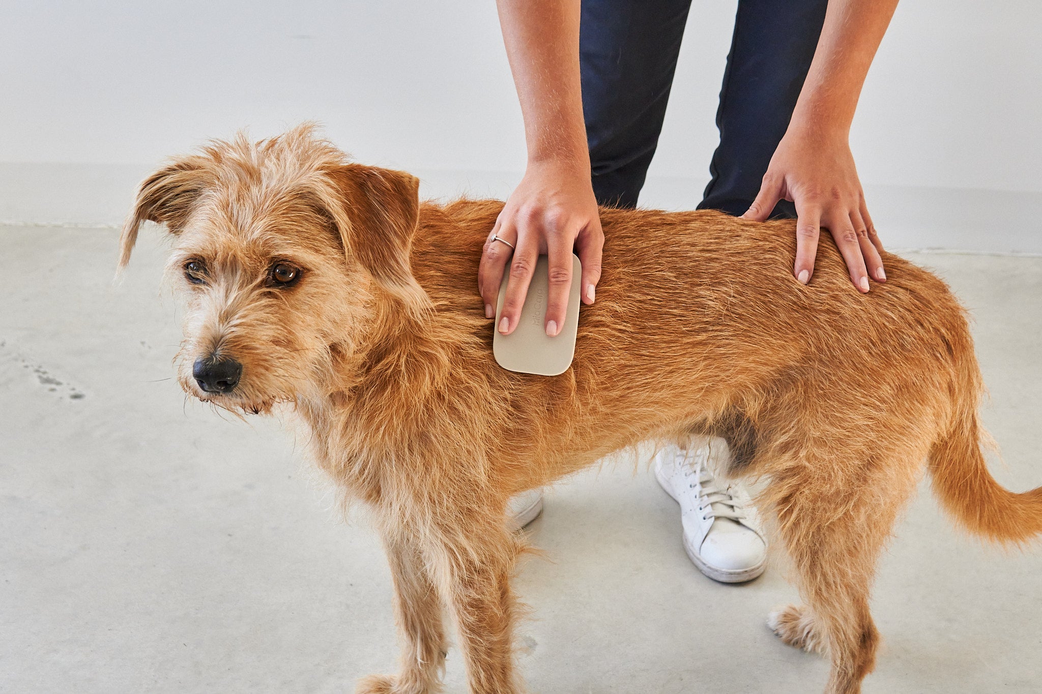 MiaCara Pelo Hundebürste