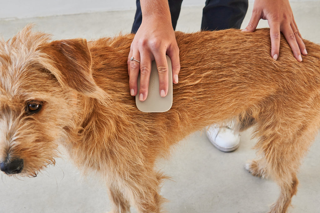 MiaCara Pelo Hundebürste