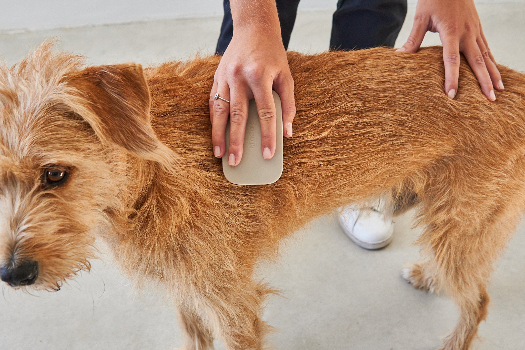 MiaCara Pelo Hundebürste