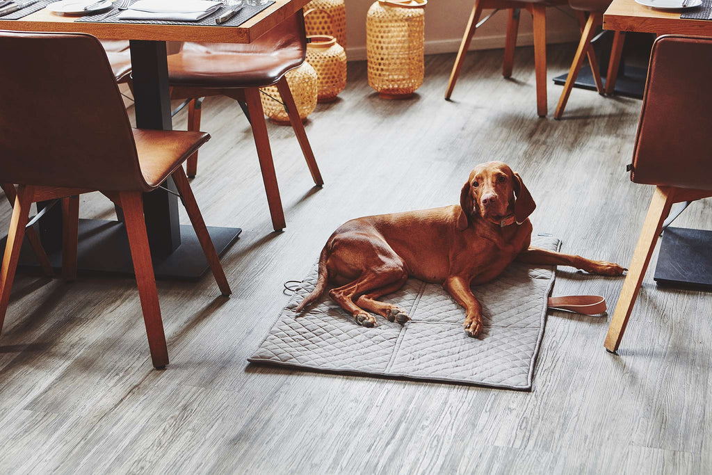 MiaCara Cosmo travelBed