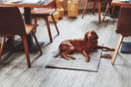 Cosmo travelBed