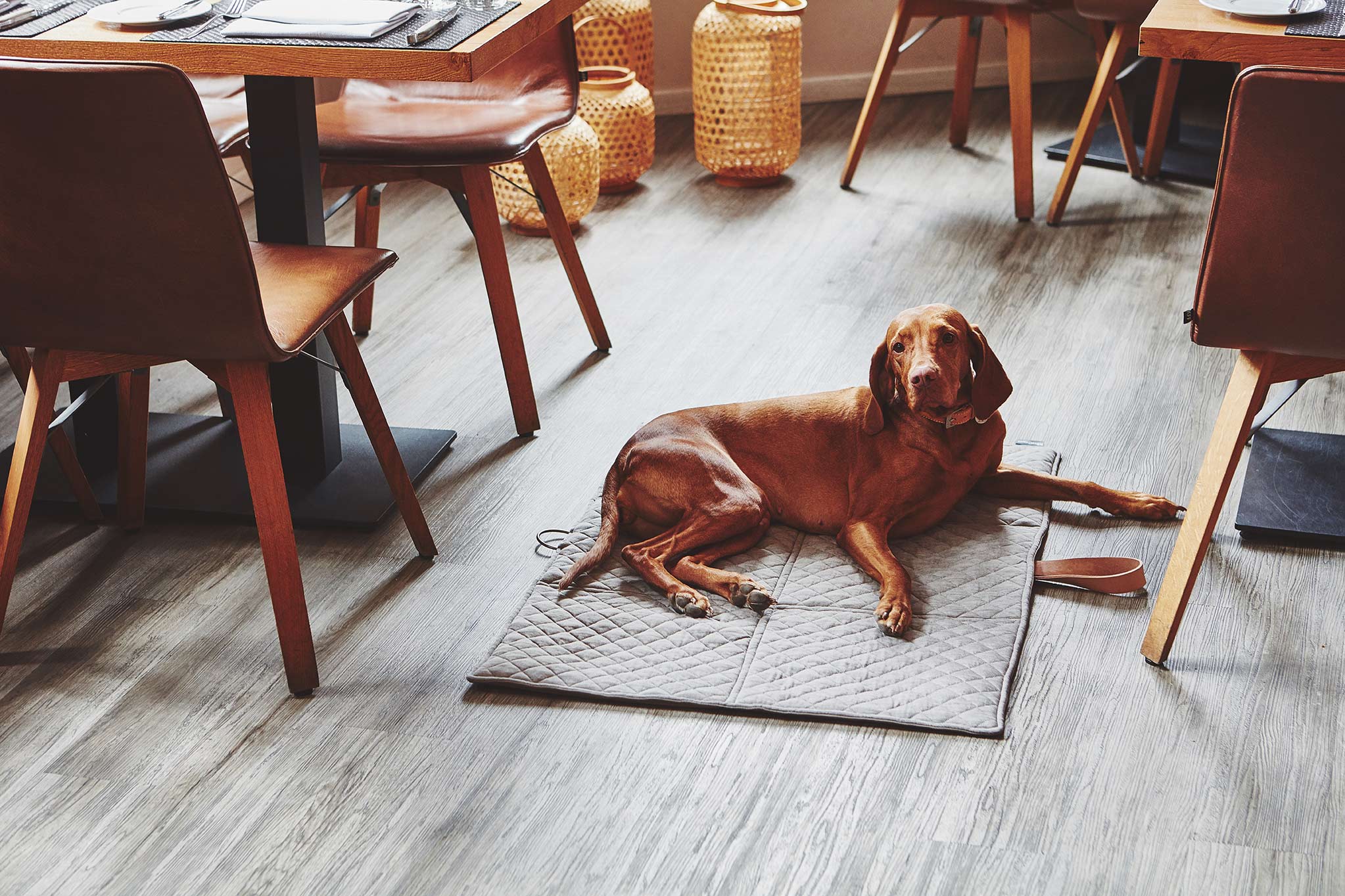 MiaCara Cosmo travelBed