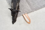 Cosmo Senso travelBed