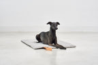 Cosmo Senso travelBed