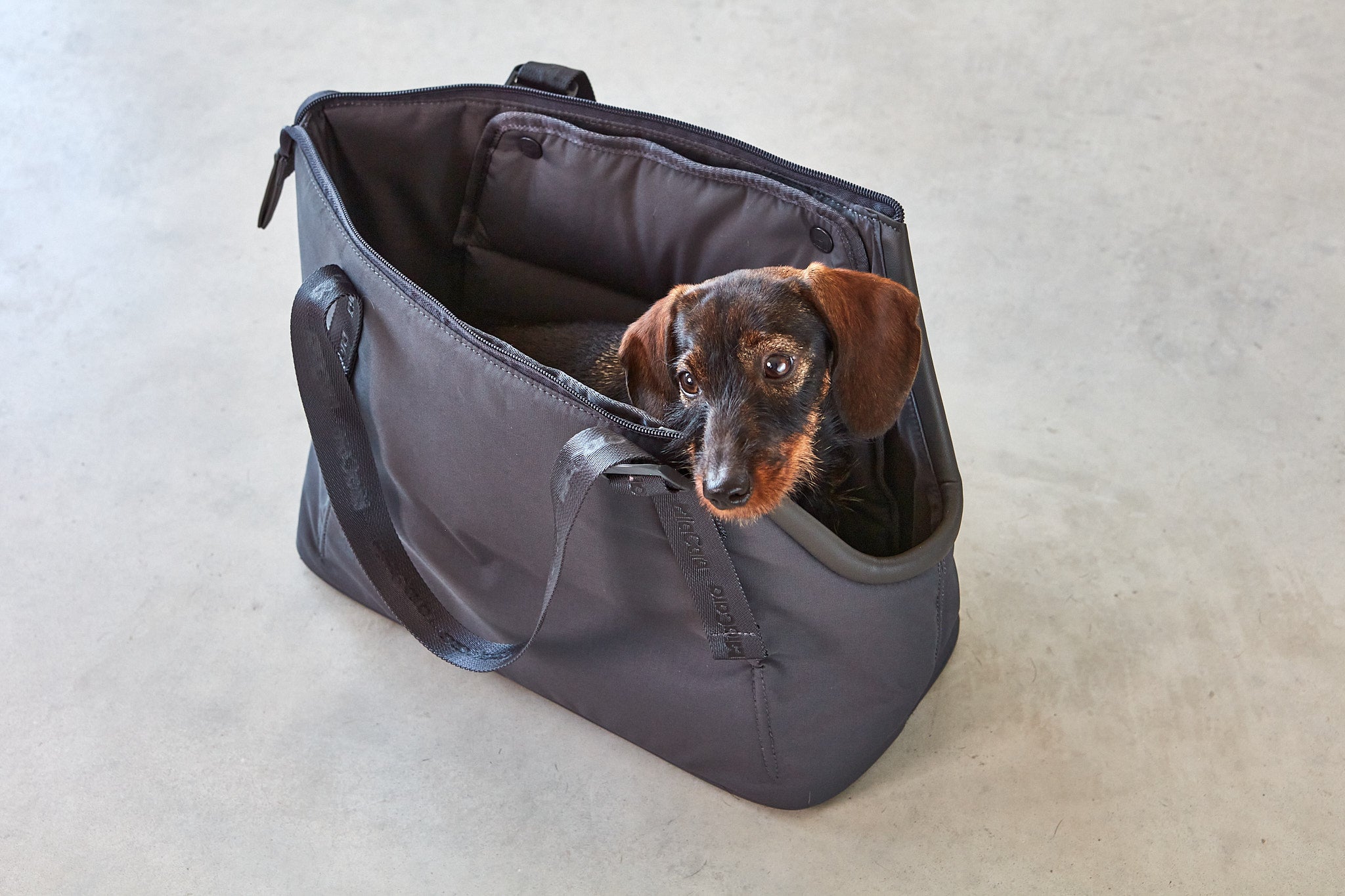 MiaCara Sporta Hundetragetasche