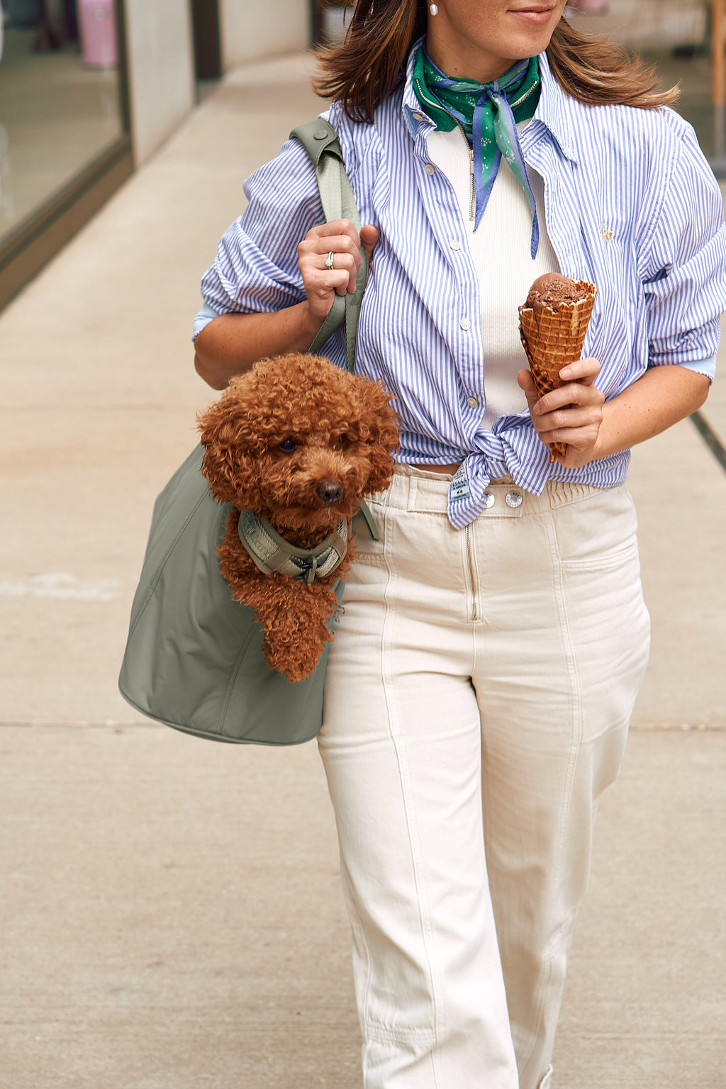 MiaCara Sporta Hundetragetasche