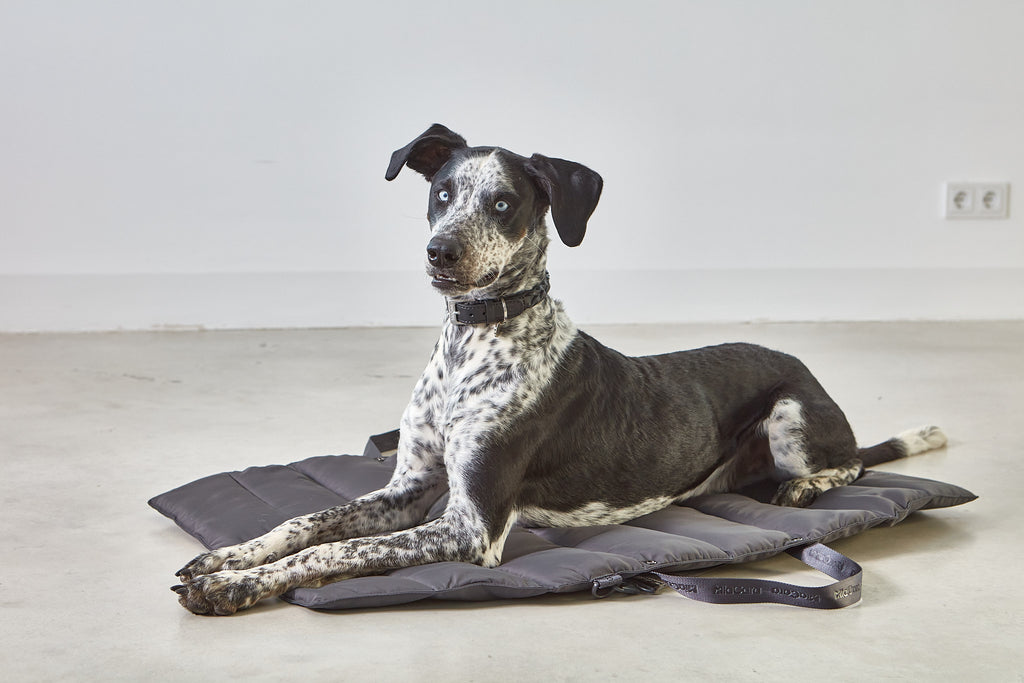 MiaCara Strada travelBed