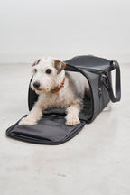 Volata Travel Carrier