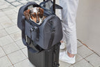 Volata Travel Carrier