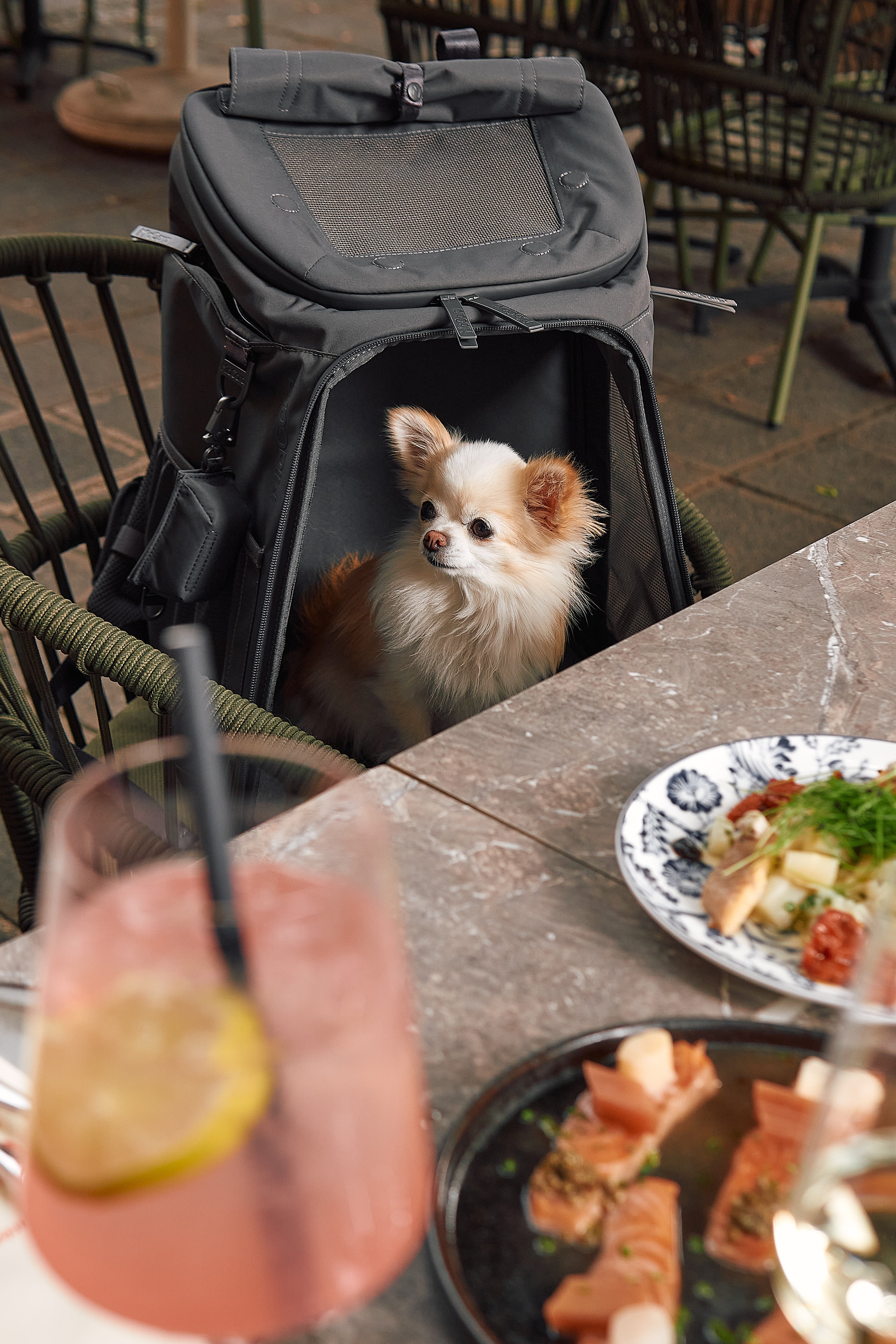 MiaCara Zaino Hunderucksack