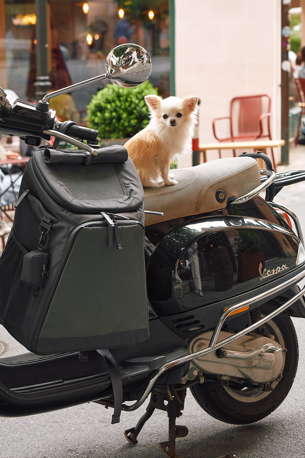 MiaCara Zaino Hunderucksack