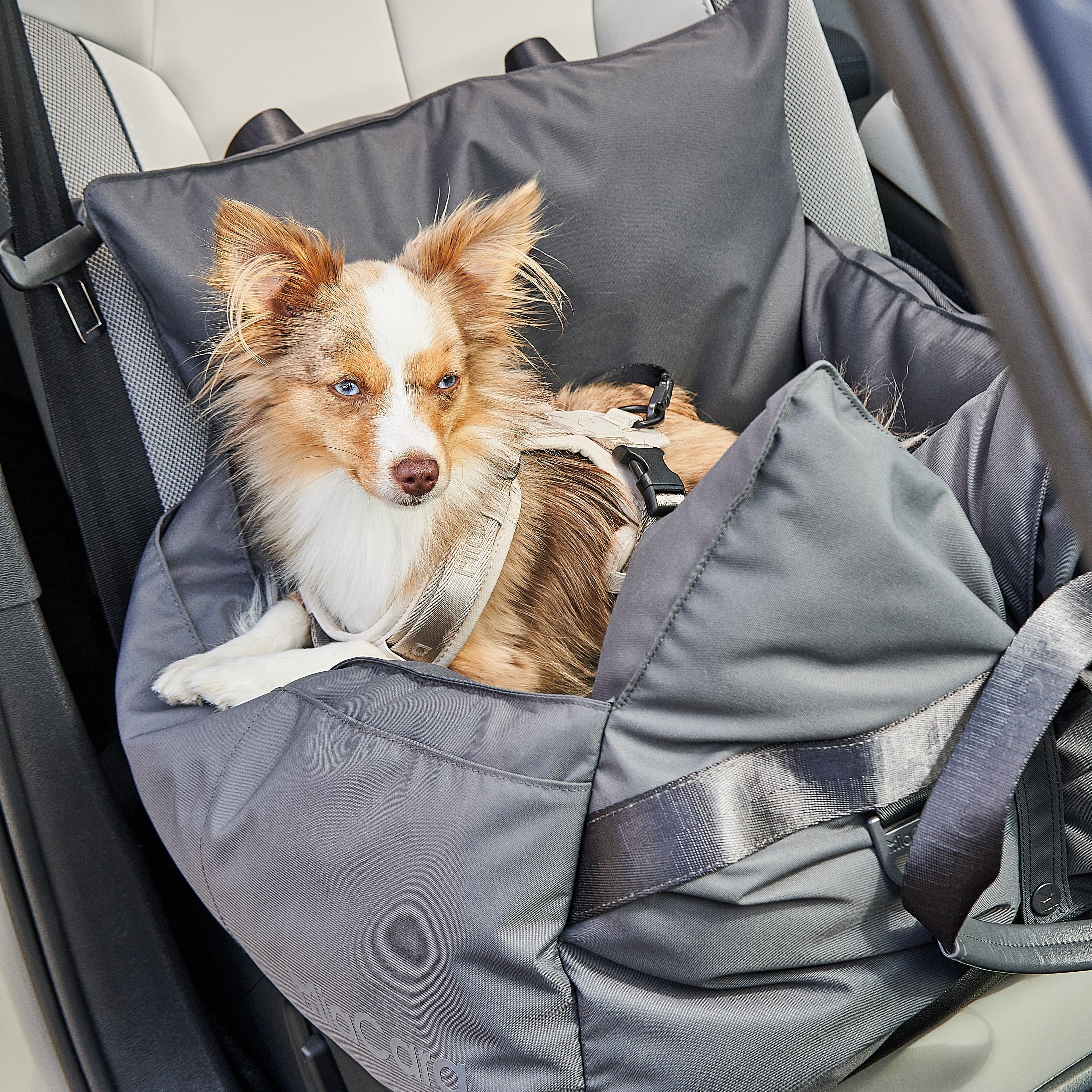 MiaCara Viaggio Dog travel bed