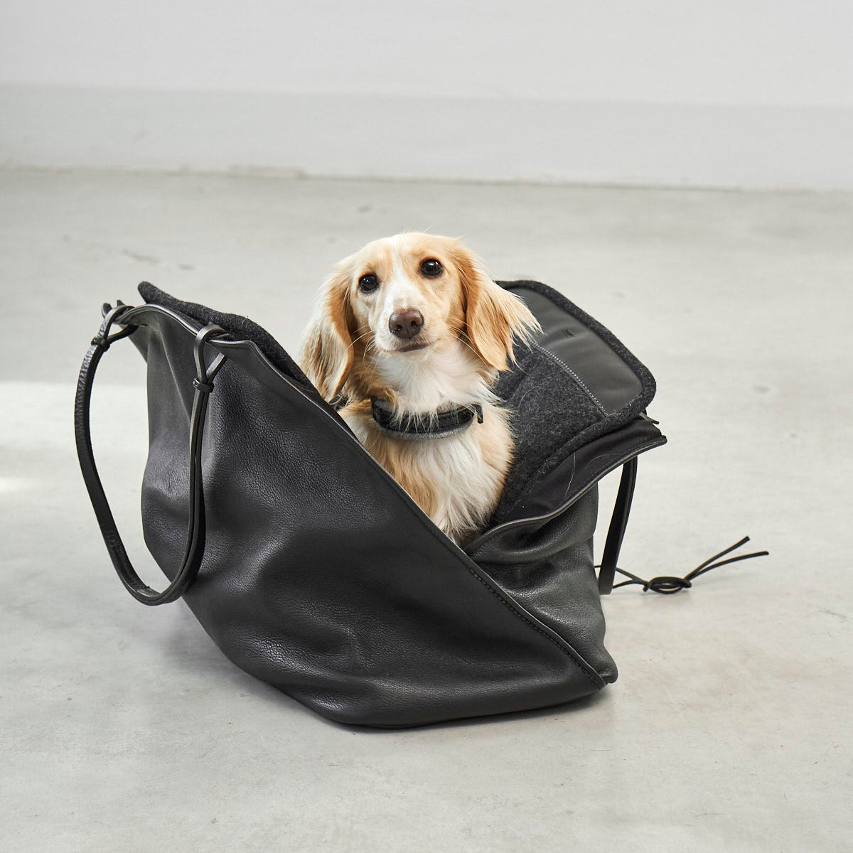 MiaCara Borsa Dog Carrier Bag