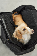 Borsa Dog Carrier Bag