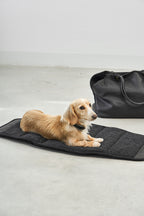 Borsa Dog Carrier Bag