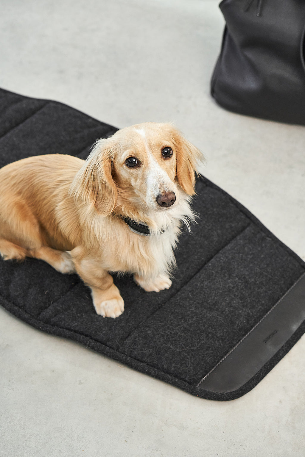 MiaCara Borsa Dog Carrier Bag
