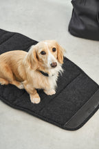 Borsa Dog Carrier Bag