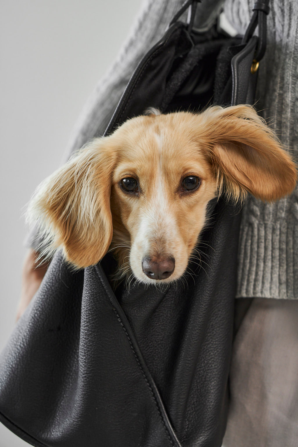 MiaCara Borsa Dog Carrier Bag