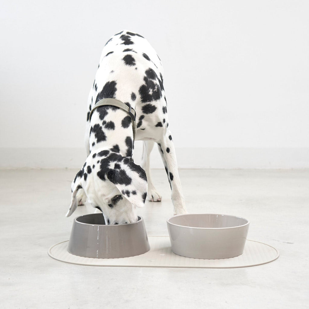 MiaCara Pasto Napfmatte Hund
