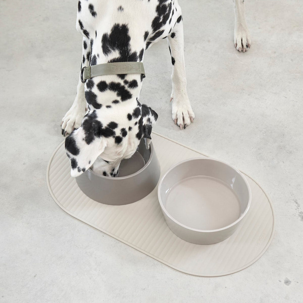 MiaCara Pasto Napfmatte Hund
