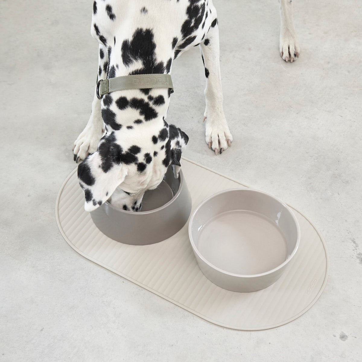 MiaCara Pasto Napfmatte Hund