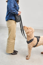 Gusto Treat Bag