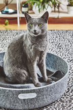 Cesto cat basket