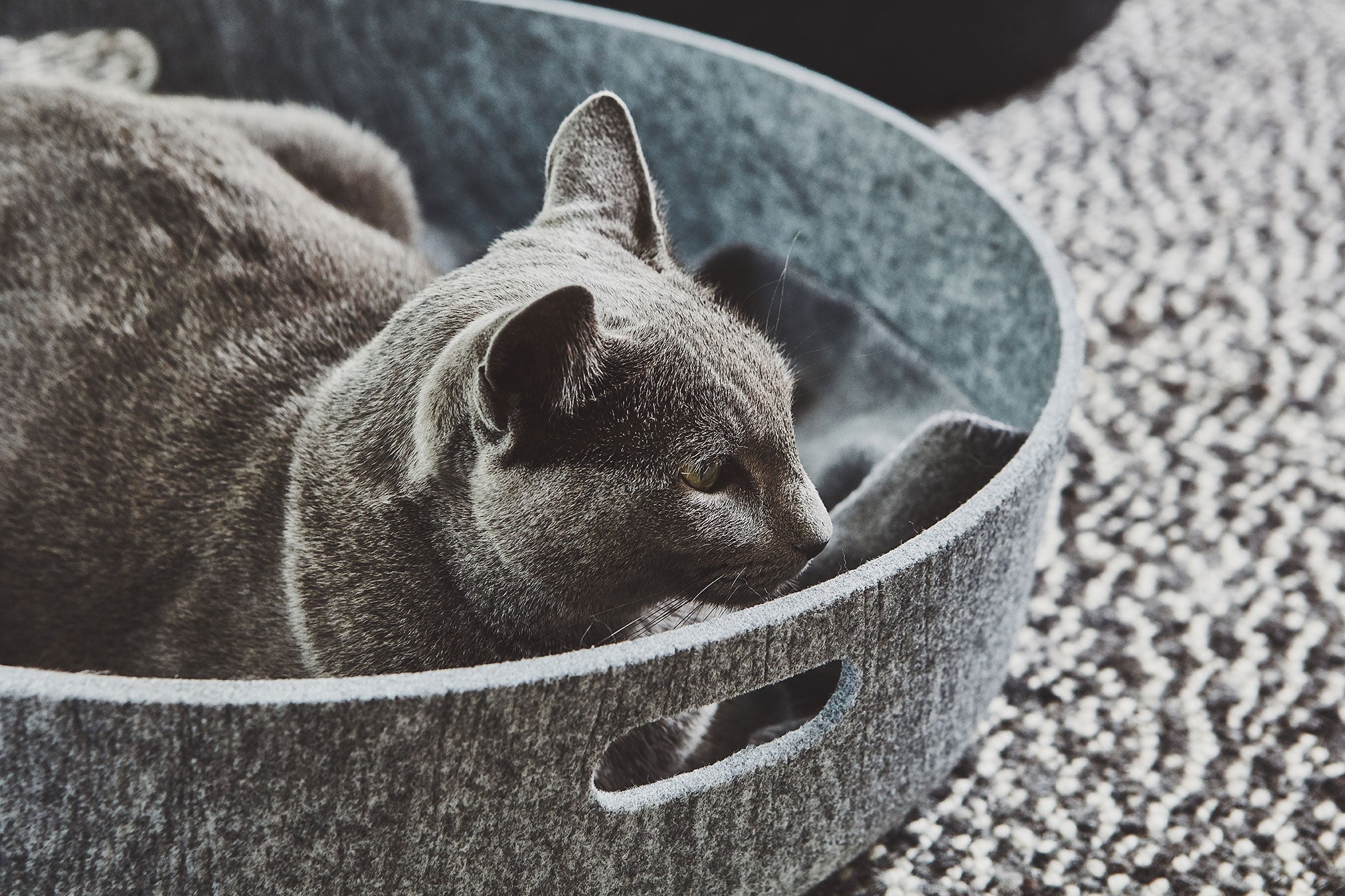 MiaCara Cesto Katzenkorb