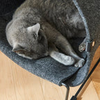Loggia Cat Cave