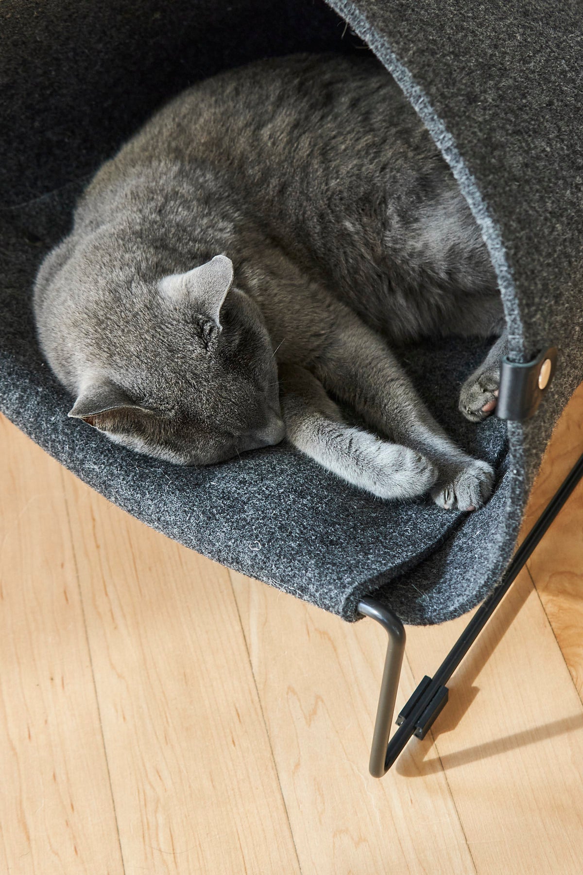 MiaCara Loggia Katzenhöhle