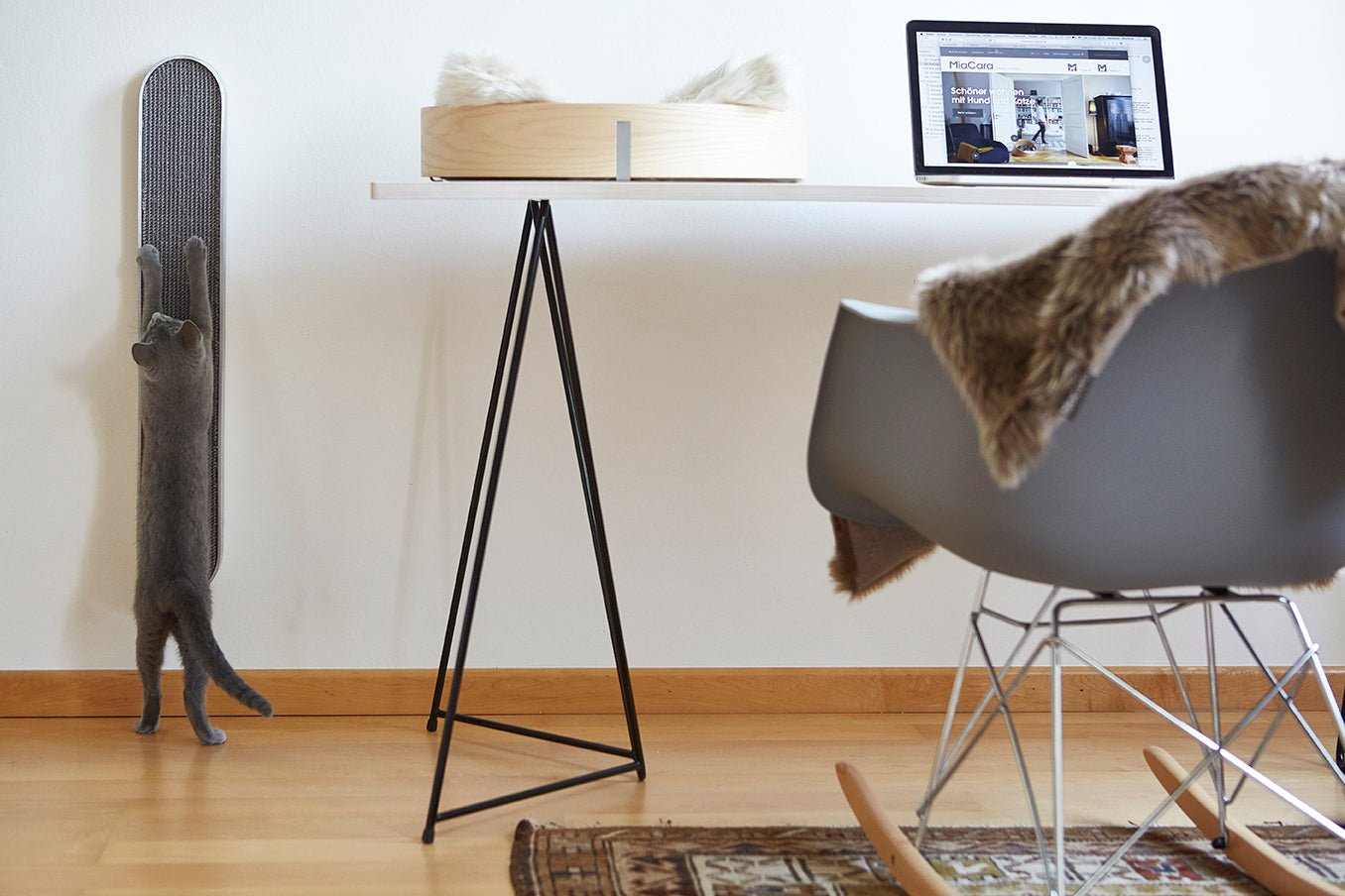 MiaCara Lana Katzendecke