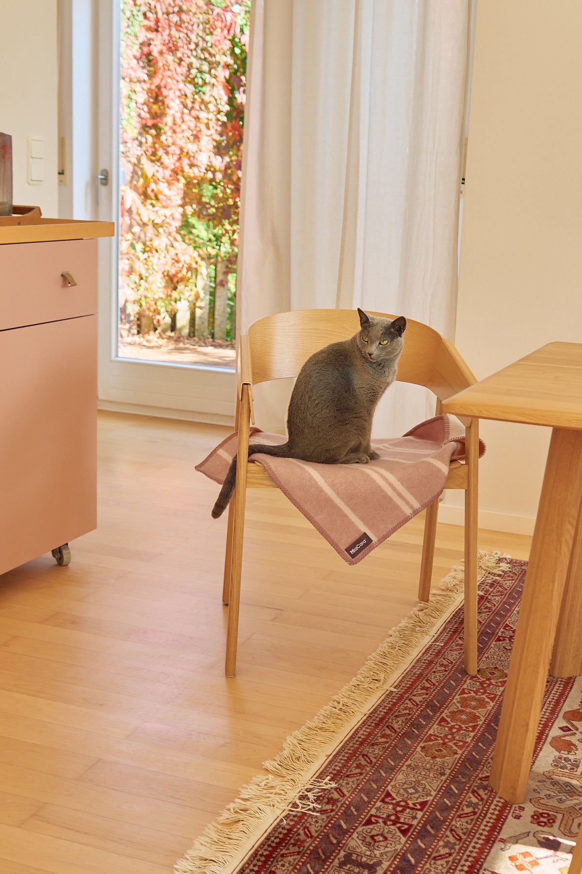 Rigato Katzendecke