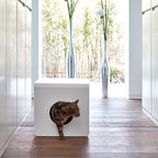 MiaCara Sito Cat Litter Box