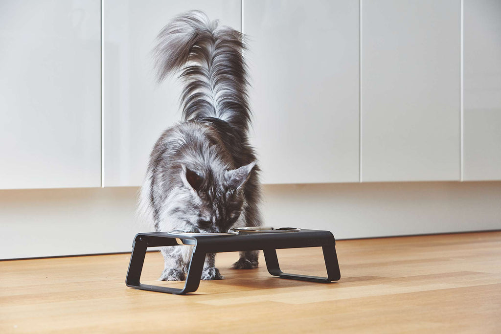 MiaCara Desco Napfständer