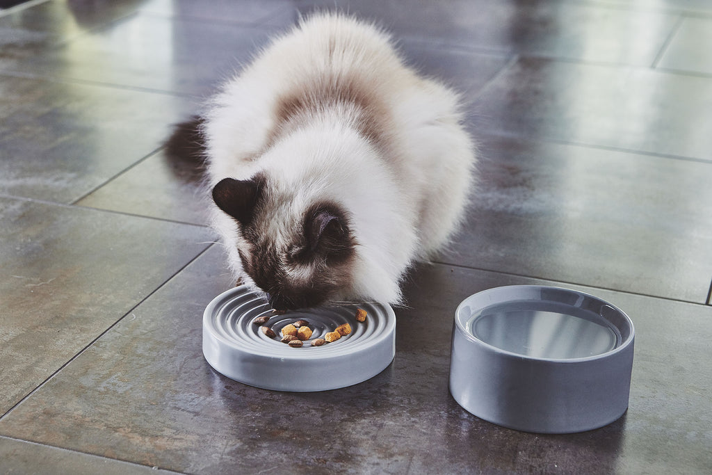 MiaCara Piatto Katzennapf