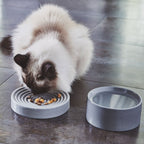 MiaCara Piatto gamelle pour chat
